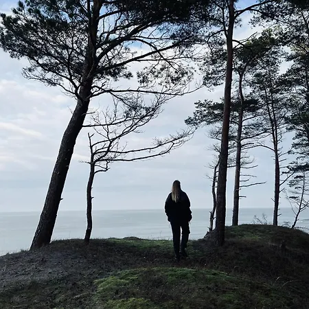 Plyniewoda - Caloroczne Premium, Basen, Klimatyzacja, Kominek Prázdninový dům *