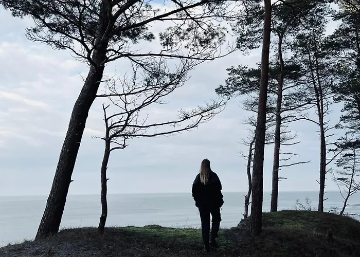 Plyniewoda - Caloroczne Premium, Basen, Klimatyzacja, Kominek Casa de Férias *